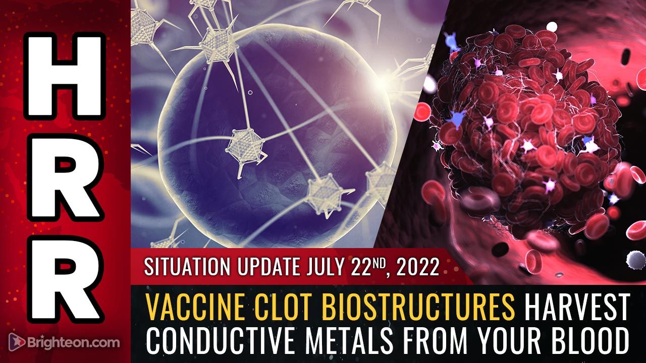 Exkluzv - Az nszervezd oltanyagrgk biostruktrk vezet fmeket gyjtenek a vrbl