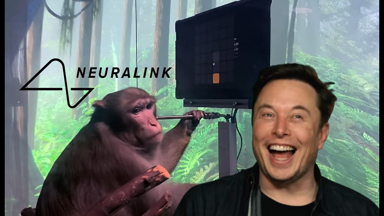 Демо monkey. Нейролинк обезьяна. Neurolink реклама с обезьяной. Обезьяна киборг. Нейролинк фото операций обезьян.