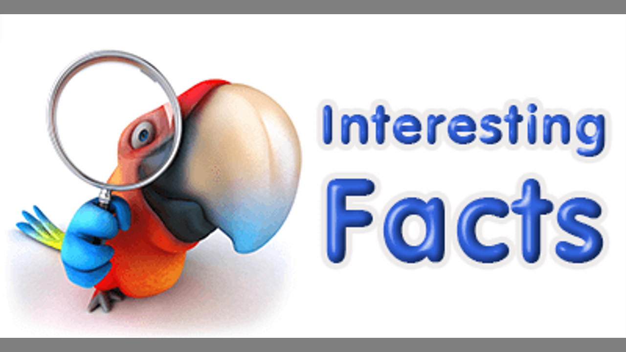 Любознательный человек. It is also interesting to. It is also interesting to. At the library тема. Креативный человек.