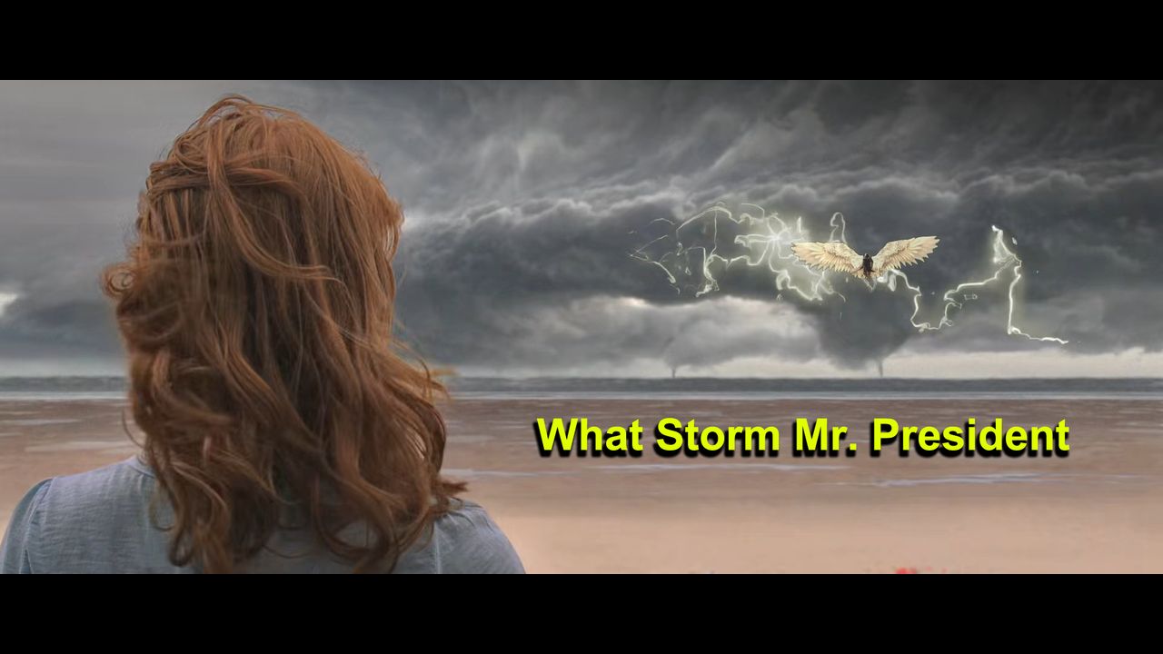 I am the storm текст. Take Shelter 2011. Рыжие волосы на ветру. Рыжая женщина со спины. Девушка волосы на ветру.