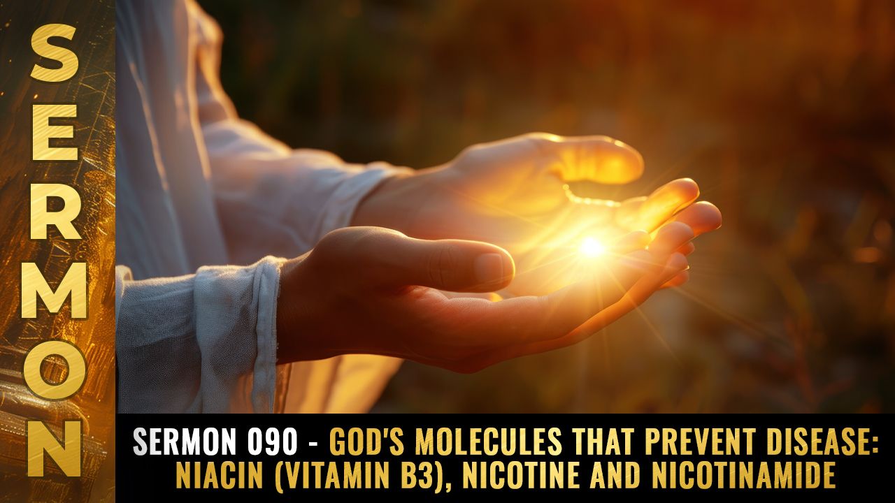 Mike Adams Sermon #090 - God's molecules that prevent disease: NIACIN (vitamin B3), nicotine and nicotinamide