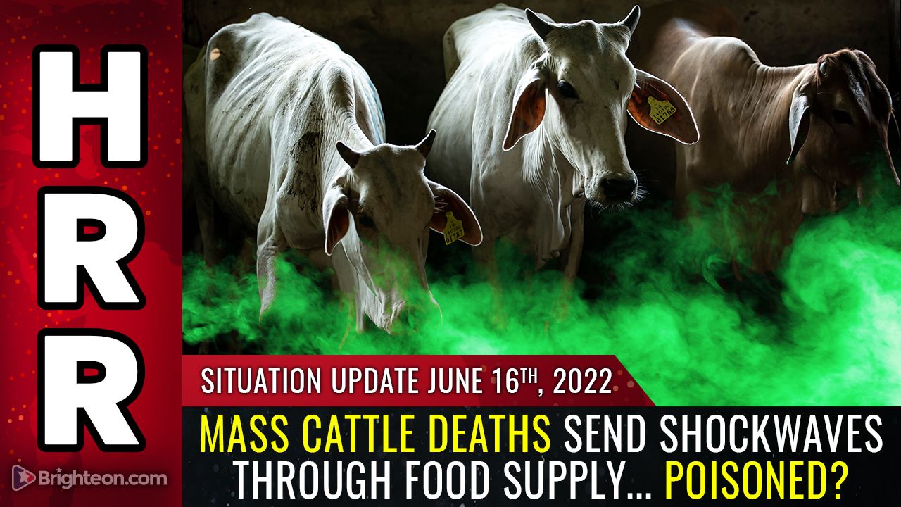 Situation Update, June 16, 2022 - Mass CATTLE deaths send shockwaves through food supply... POISONED?