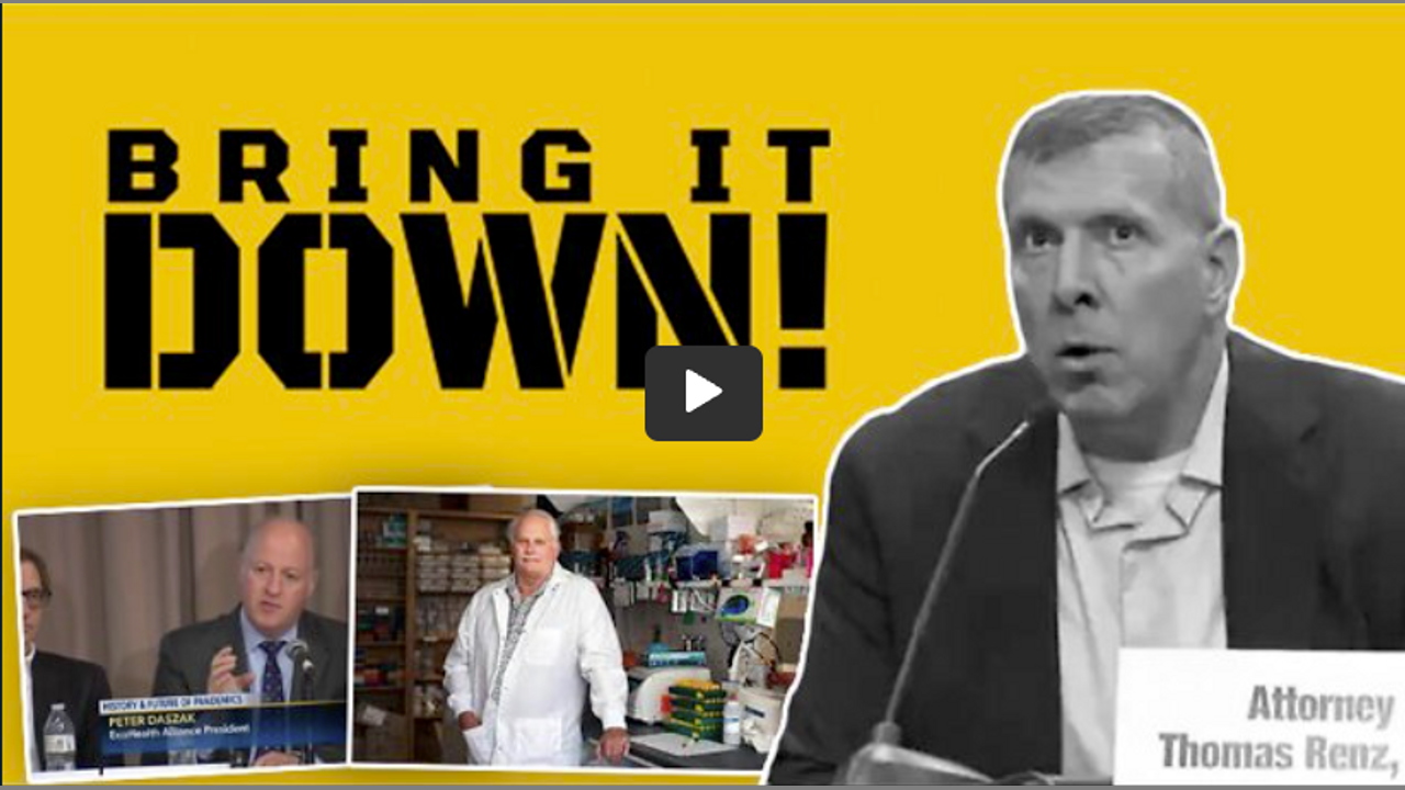 General Flynn & Attorney Renz | Will Renz's Billion Dollar Lawsuit ...