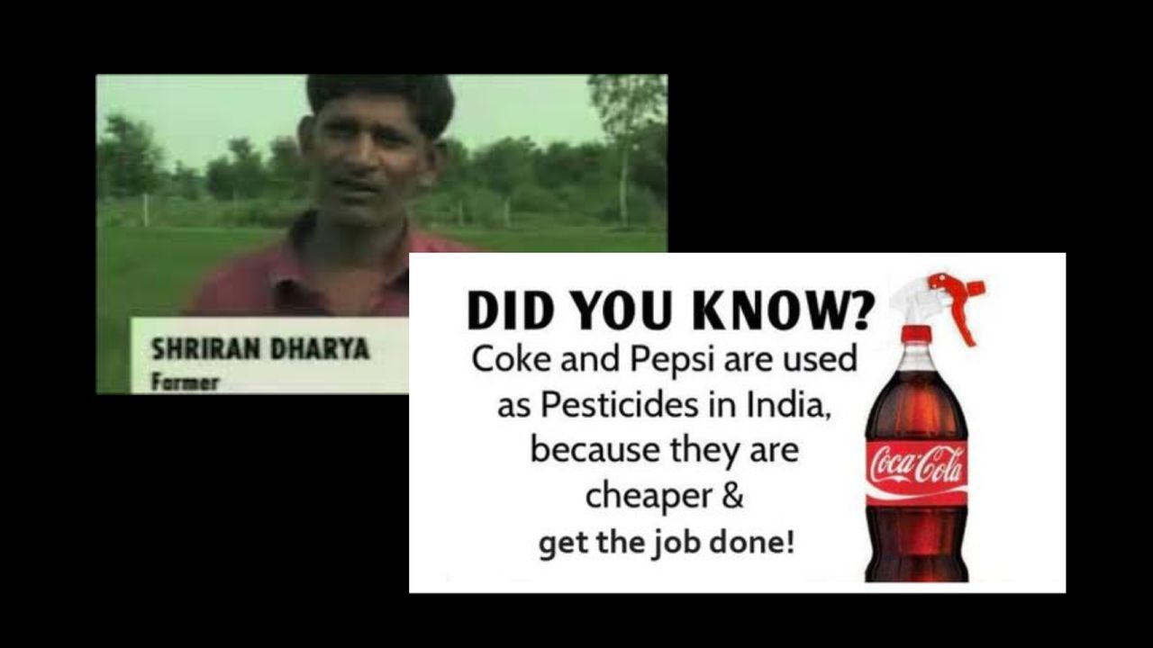 💢Coke And Pepsi Being Used By Indian Farmers As Pesticides