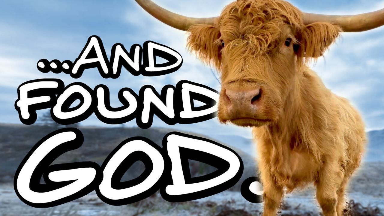 I LOST MY COWS! . . .