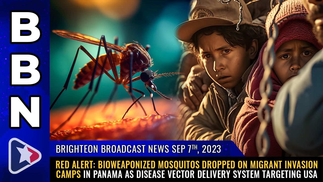 Brighteon Broadcast News, Sep 7, 2023 – RED ALERT: Bioweaponized mosquitos DROPPED on migrant invasion camps in Panama as DISEASE VECTOR DELIVERY SYSTEM targeting USA – Health Ranger Report Channel