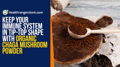 Keep your immune system in tip-top shape with Organic Chaga Mushroom Powder
