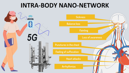 263) REVIEW: The MAC phenomenon and the intra-body nano-network of communications