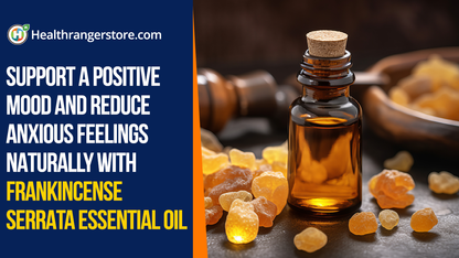 Support a positive mood and reduce anxious feelings naturally with Frankincense Serrata Essential Oil