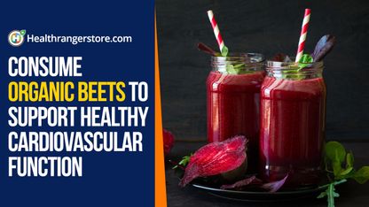 Consume organic beets to support healthy cardiovascular function