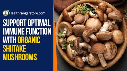 Support optimal immune function with Organic Shiitake Mushrooms