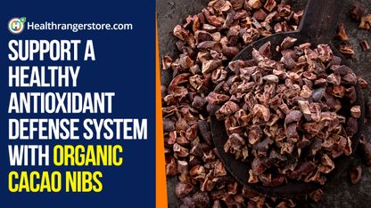 Support a healthy antioxidant defense system with organic cacao nibs