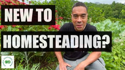3 Tips for the Beginner Homesteader