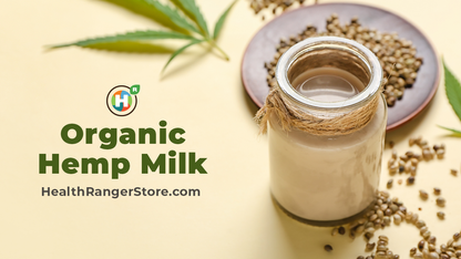 How to Make Organic Hemp Milk (dairy-free & gluten-free!)