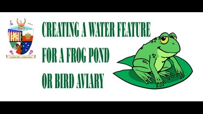 Creating A Water Feature For A Frog Pond Or Bird Aviary
