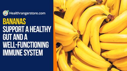 Boost your intake of potassium with freeze-dried organic bananas