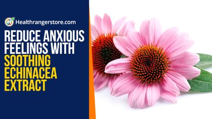 Reduce anxious feelings with soothing echinacea extract