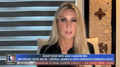 11/6/2023 Right Now with Ann Vandersteel ft. Joseph Humire