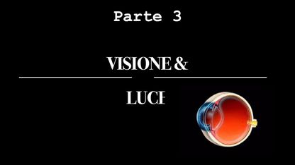 Visione & luce 8 Ottobre 2024