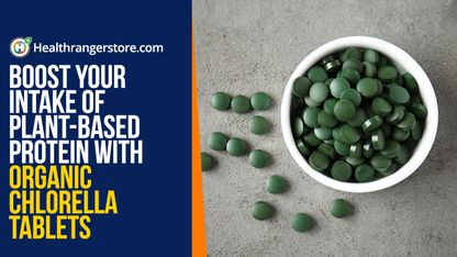 Boost your intake of plant-based protein with organic chlorella tablets