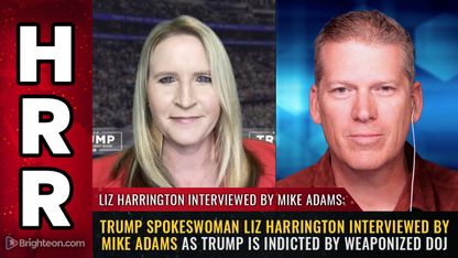Trump spokeswoman Liz Harrington interviewed by Mike Adams as trump is INDICTED by weaponized DOJ