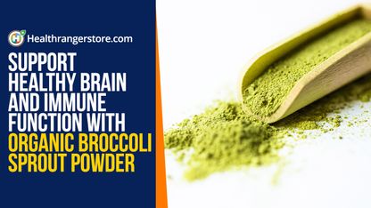 Support healthy brain and immune function with organic broccoli sprout powder