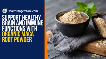 Support healthy brain and immune functions with Organic Maca Root Powder