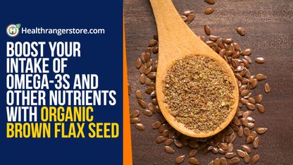 Boost your intake of omega-3s and other nutrients with organic brown flax seed