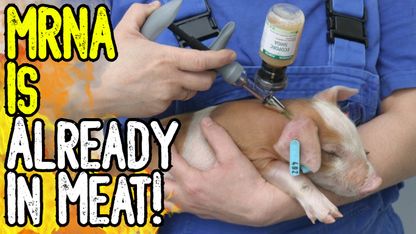 MRNA IS ALREADY IN MEAT! - More evidence EXPOSES Eugenics Operation!
