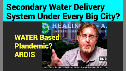 ARDIS: Secondary Water Delivery System Under Every Big City?  Water Plandemics?