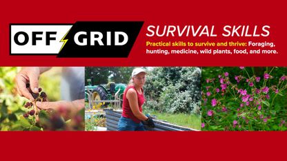 Off-Grid Survival Skills