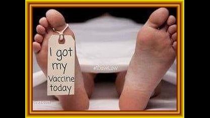 'Fauci, CDC, IGNORE Giant VAERS Elephant In The Room - 14,627 Deaths From CCP Vaccines