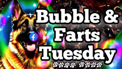 [Streamed live on Jan 3, 2023] TruthAtAllCost: Bubbles N Farts & All The Right Parts Tuesday (full show)