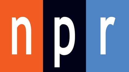 Flat Earth Clues Interview 141 - NPR Radio Seattle - Mark Sargent ✅