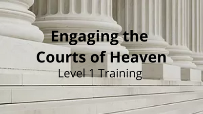 Engaging the Courts - Level 1