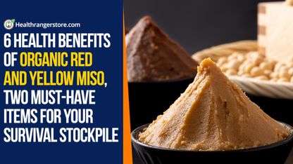 6 Health benefits of Organic Red and Yellow Miso, two must-have items for your survival stockpile
