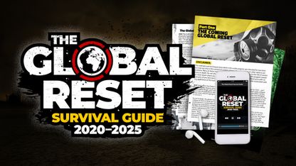 The Global Reset Survival Guide