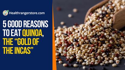 5 Good reasons to eat quinoa, the "gold of the Incas"