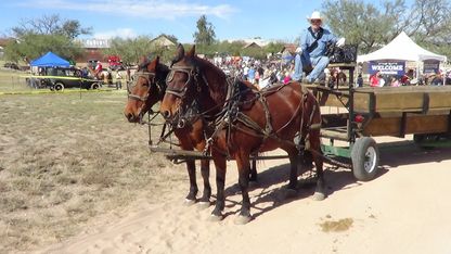 2019 Cowboy Festival- Empire Ranch Arizona- Slide Show !