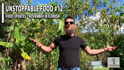 Unstoppable Food #12: Unstoppable Food Updates – November in FL