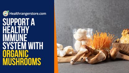Support a healthy immune system with organic mushrooms