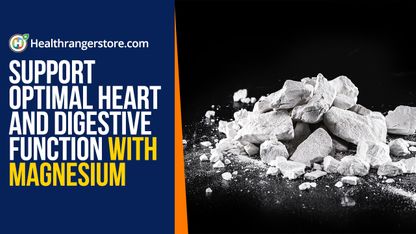Support optimal heart and digestive function with magnesium