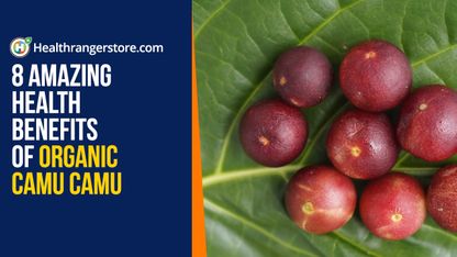 8 Amazing health benefits of Organic Camu Camu