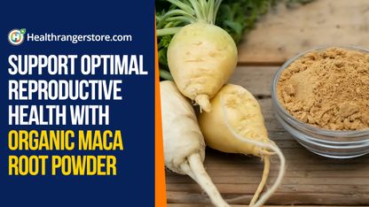 Support optimal reproductive health with Organic Maca Root Powder