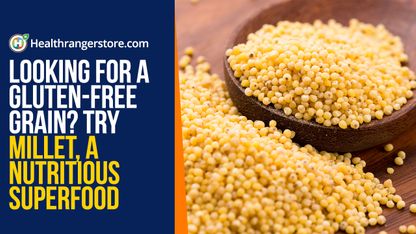 Looking for a gluten-free grain? Try millet, a nutritious superfood