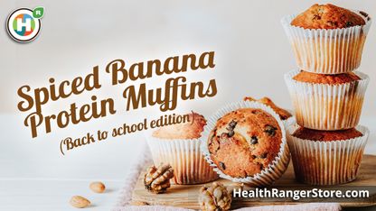 Spiced Banana Protein Muffins (Back to school edition)