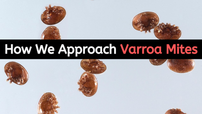 Controlling Varroa Mites Without The Use Of Chemicals - Our Best Strategies