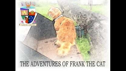 The Adventures Of Frank The Cat