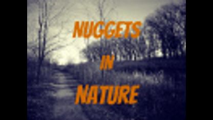 Nuggets In Nature