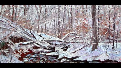 Plein Air Oil Paintings in Yellowwood Forest